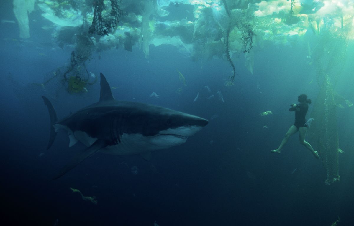 Sophia (Bérénice Bejo), a tiny figure in a black diving suit, hangs below the surface of a trash-filled stretch of ocean as an immense shark approaches her head-on in Xavier Gens’ Netflix shark thriller Under Paris